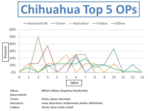 Chihuahua Krankheiten und Tierarztkosten im Altersdiagramm