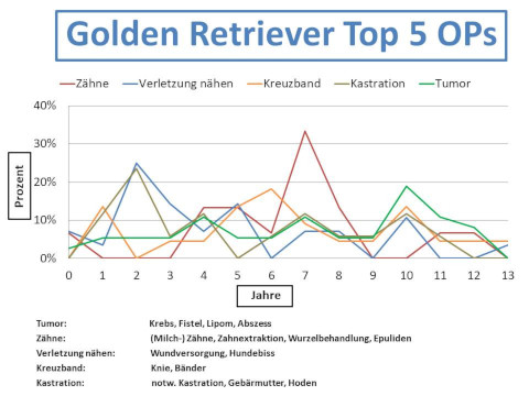 Golden Retriever Krankheiten und Tierarztkosten im Altersdiagramm