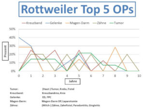 Rottweiler Krankheiten und Tierarztkosten im Altersdiagramm